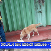 2021.06.06 සමාජ සත්කාරක වැඩසටහන - රත්මලාන