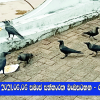 2021.06.06 සමාජ සත්කාරක වැඩසටහන - රත්මලාන
