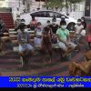 2021.12.24 - 2022 හැමදාම පාසල් යමු වැඩසටහන
