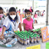 Rathmalana Fair