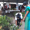 Rathmalana Fair