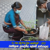 74 වන නිදහස් දින සැමරුම - රත්මලාන ප්‍රාදේශීය ලේකම් කාර්යාලය