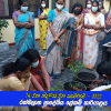 74 වන නිදහස් දින සැමරුම - රත්මලාන ප්‍රාදේශීය ලේකම් කාර්යාලය