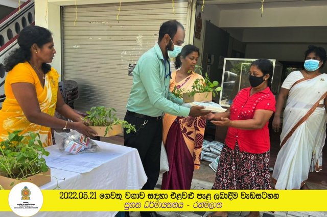 2022.05.21 ගෙවතු වගාව සඳහා එළවළු පැළ ලබාදීම වැඩසටහන