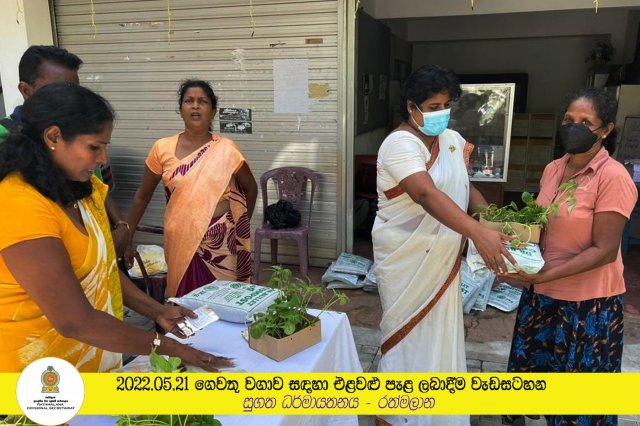 2022.05.21 ගෙවතු වගාව සඳහා එළවළු පැළ ලබාදීම වැඩසටහන