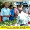 2022.05.21 ගෙවතු වගාව සඳහා එළවළු පැළ ලබාදීම වැඩසටහන