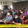 'අහරින් සපිරි කොළොන් තොටක්' ගෙවතු වගාව ප්‍රවර්ධන කිරීමේ වැඩසටහන