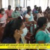 'අහරින් සපිරි කොළොන් තොටක්' ගෙවතු වගාව ප්‍රවර්ධන කිරීමේ වැඩසටහන