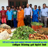 2022.06.23 ගාල්ල වදුරඹ ප්‍රදේශවාසින්ගේ පරිත්‍යාගයෙන් ලද ආහාර මළු බෙදා දීම