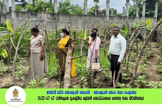 2022.07.07 රත්මලාන ප්‍රාදේශීය ලේකම් කොට්ඨාශයේ ගෙවතු වගා නිරීක්ෂණය