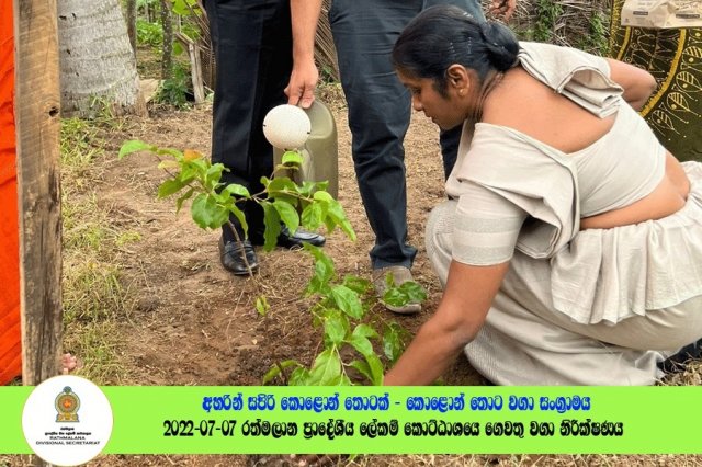 2022.07.07 රත්මලාන ප්‍රාදේශීය ලේකම් කොට්ඨාශයේ ගෙවතු වගා නිරීක්ෂණය