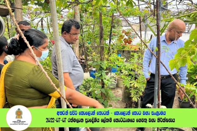 2022.07.07 රත්මලාන ප්‍රාදේශීය ලේකම් කොට්ඨාශයේ ගෙවතු වගා නිරීක්ෂණය