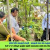2022.07.07 රත්මලාන ප්‍රාදේශීය ලේකම් කොට්ඨාශයේ ගෙවතු වගා නිරීක්ෂණය