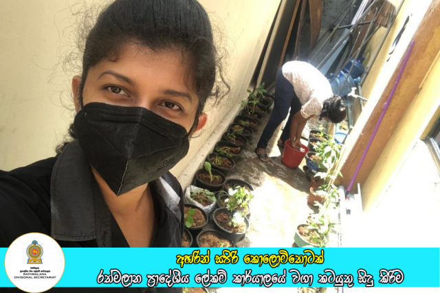 අහරින් සපිරි කොලොමිතොටක් වැඩ සටහනේ රාජ්‍ය ආයතන පරිශයේ වගා කටයුතු සිදු කිරිම
