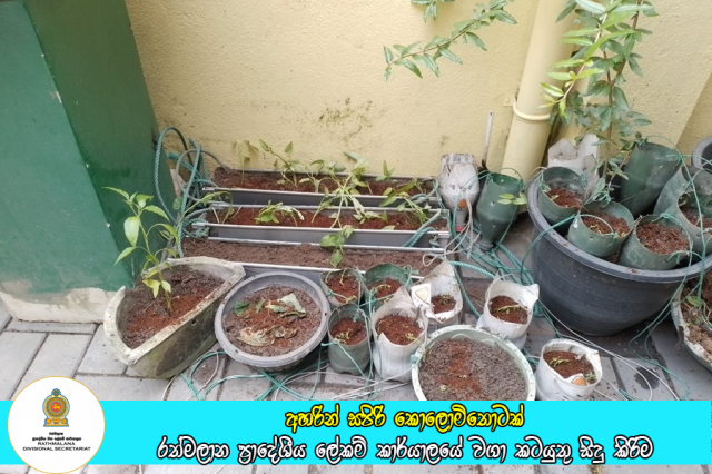 අහරින් සපිරි කොලොමිතොටක් වැඩ සටහනේ රාජ්‍ය ආයතන පරිශයේ වගා කටයුතු සිදු කිරිම