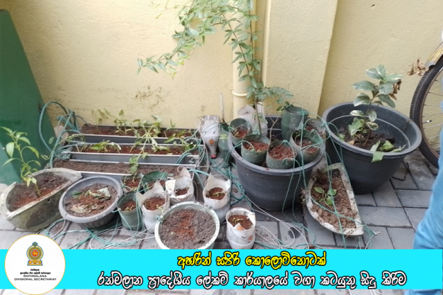 අහරින් සපිරි කොලොමිතොටක් වැඩ සටහනේ රාජ්‍ය ආයතන පරිශයේ වගා කටයුතු සිදු කිරිම