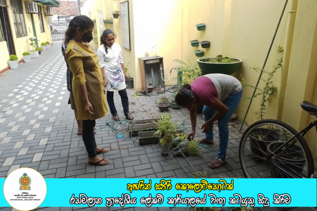 අහරින් සපිරි කොලොමිතොටක් වැඩ සටහනේ රාජ්‍ය ආයතන පරිශයේ වගා කටයුතු සිදු කිරිම