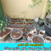 අහරින් සපිරි කොලොමිතොටක් වැඩ සටහනේ රාජ්‍ය ආයතන පරිශයේ වගා කටයුතු සිදු කිරිම